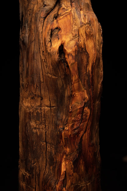 Detailed focus on deep vertical wood channels and a small protruding organic knot on a completely stabilized interior column. 