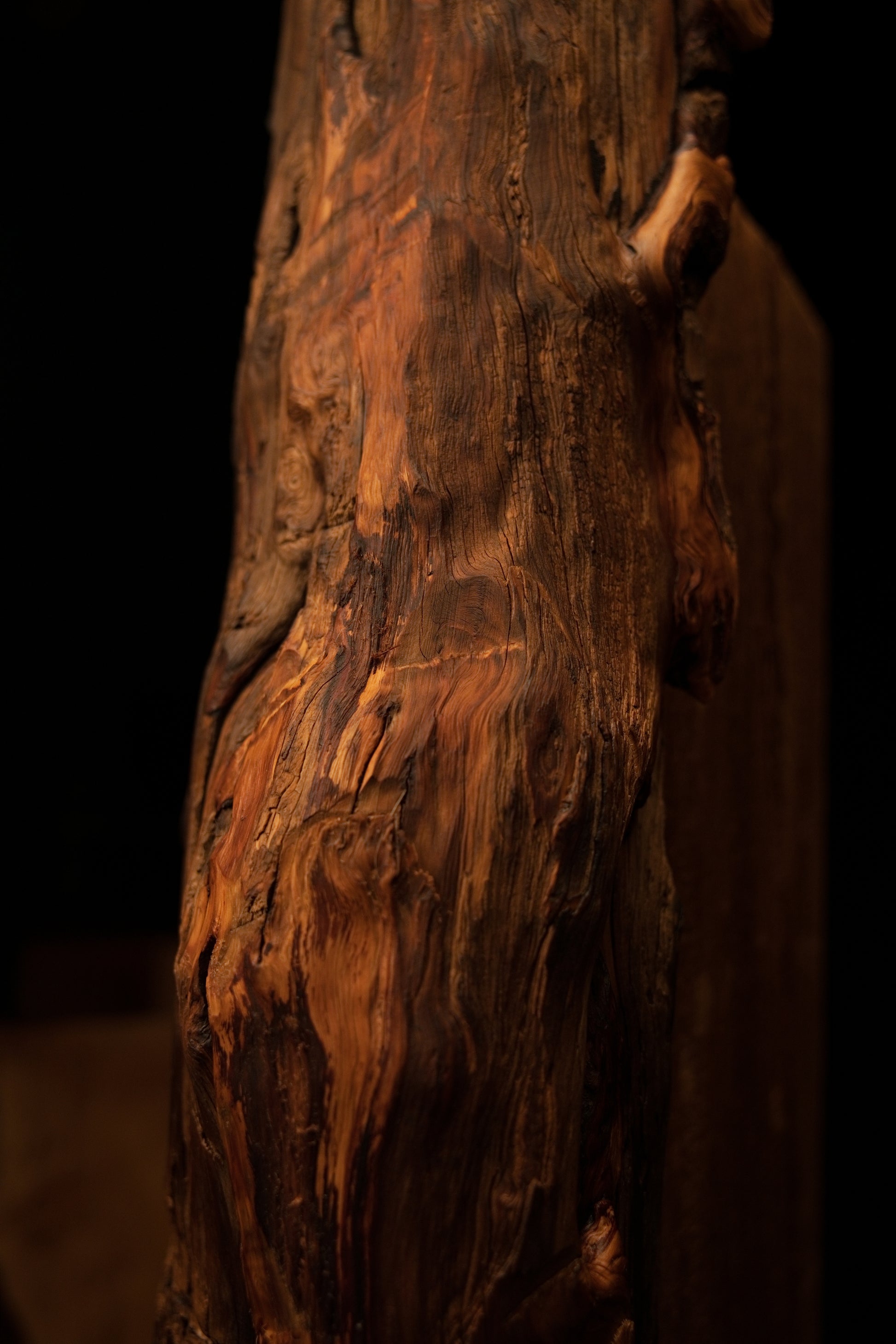 Extreme macro showing heavily weathered and deeply furrowed botanical surfaces on a floor-heating compatible interior timber. 