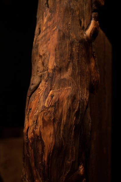Extreme macro showing heavily weathered and deeply furrowed botanical surfaces on a floor-heating compatible interior timber. 