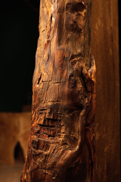 Angled side profile of a highly textured architectural column highlighting deep organic cavities and flowing vertical fibers. 