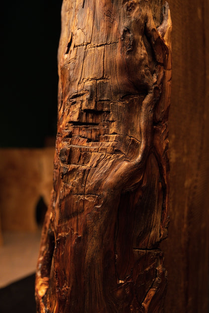 Close-up of a ridged botanical surface with horizontal natural checks and sweeping wood grain on an epoxy-free wooden column. 
