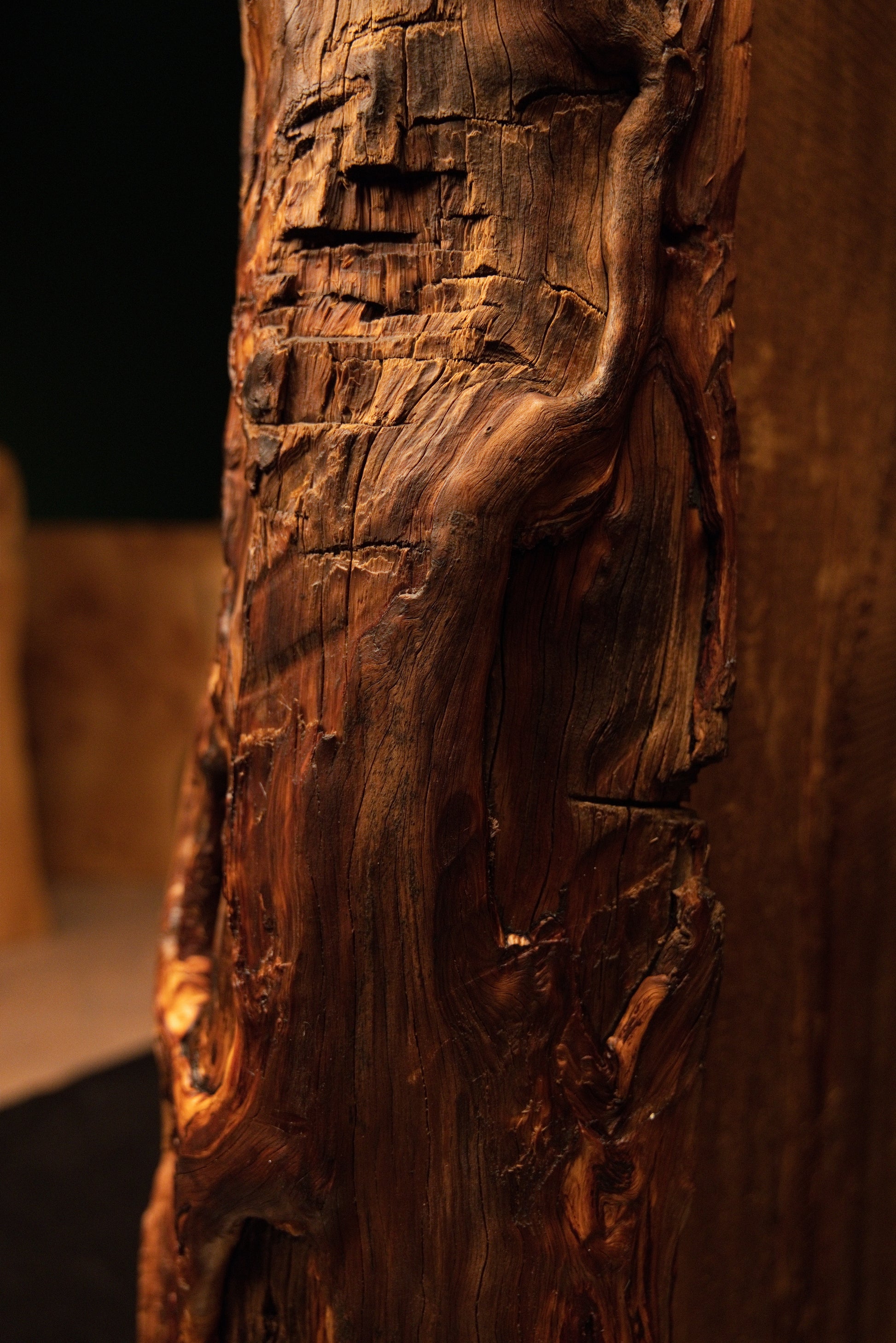 Detail of a smooth swirling wood grain pattern abruptly interrupted by a deep dark structural void on a museum-quality piece. 