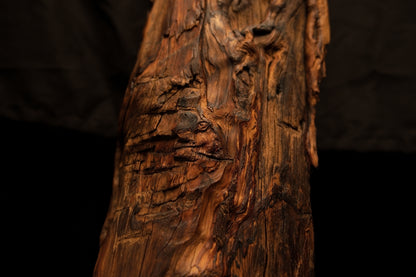 Detailed close-up of a dark horizontal crevice and deeply ridged organic textures on an authentic botanical piece. 