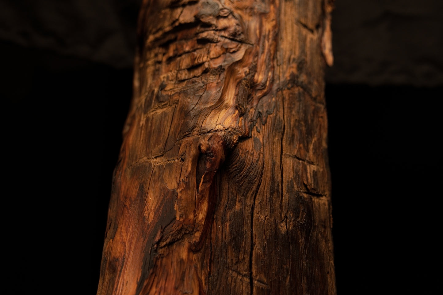 Macro focus on a protruding organic knot and deep vertical furrows running along a museum-grade timber log. 