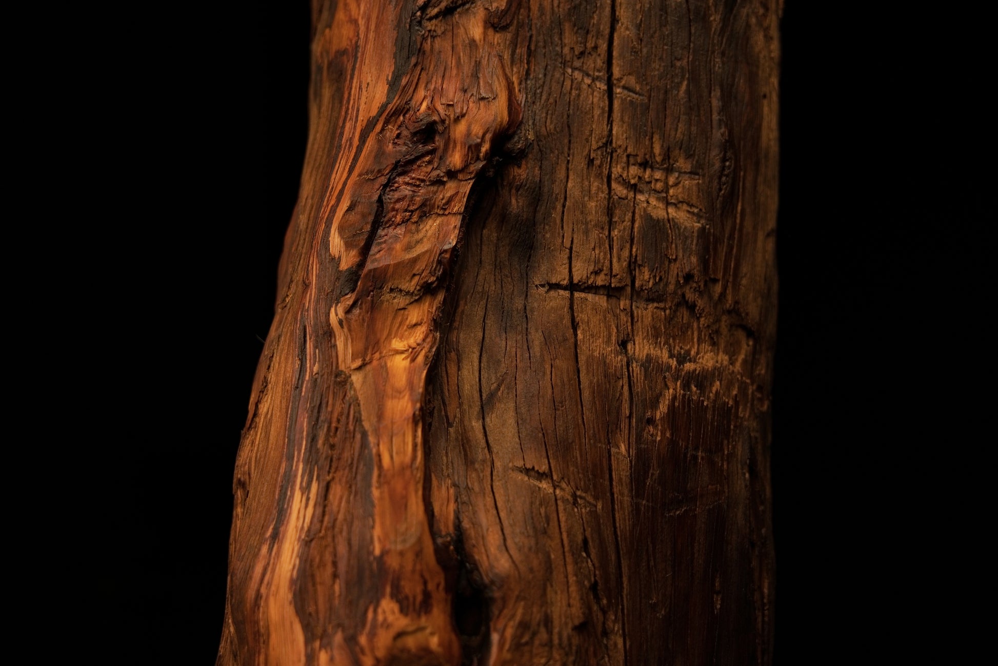 Extreme macro highlighting a deep jagged surface split surrounded by sweeping vertical golden grain lines. 