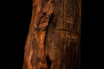 Extreme macro highlighting a deep jagged surface split surrounded by sweeping vertical golden grain lines. 
