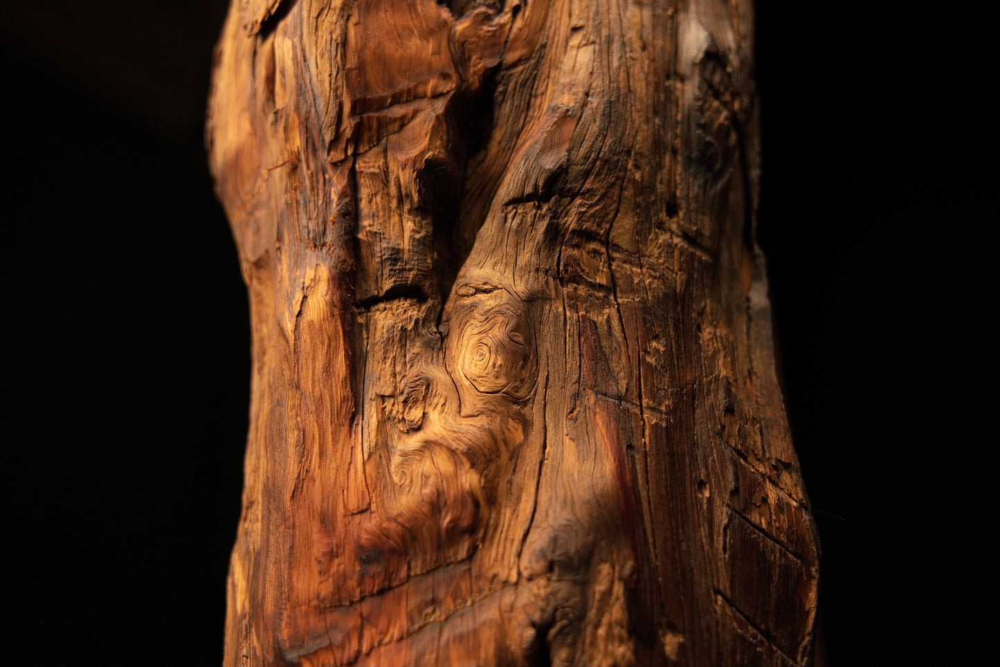 Close detail of a distinct spiral grain pattern and authentic surface checking on a biophilic architectural wood block. 