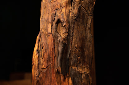Macro perspective of a large dark organic void with smooth worn edges on a completely resin-free structural timber. 
