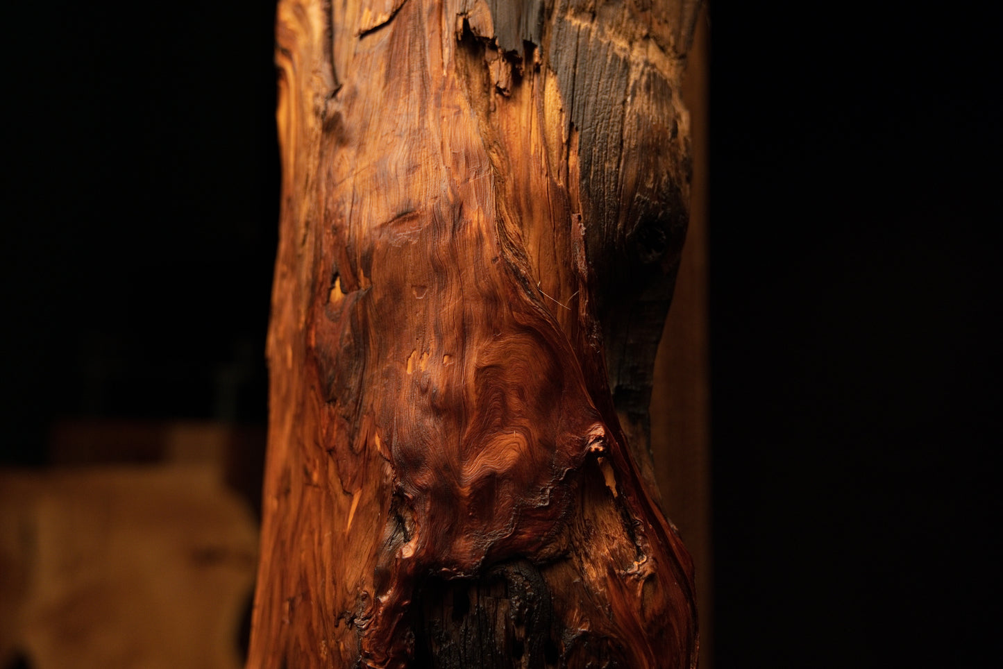 Detailed macro of sweeping reddish-brown wood grain flowing gracefully above a deep dark lower cavity. 