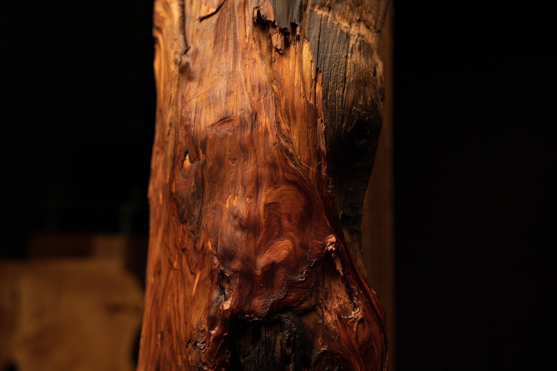 Detailed macro of sweeping reddish-brown wood grain flowing gracefully above a deep dark lower cavity. 