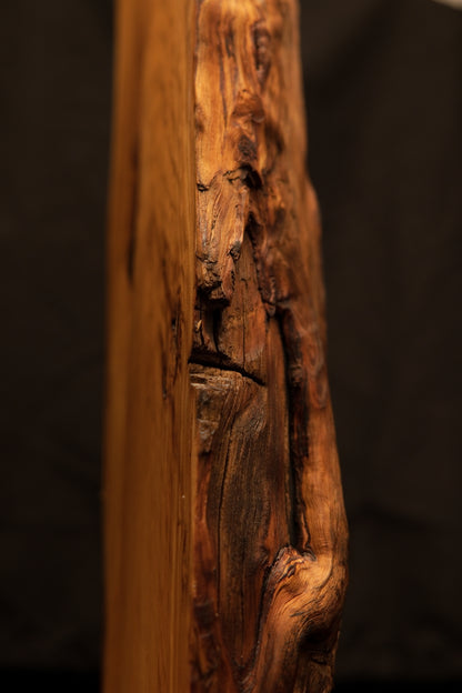 Close focus on the side profile showing a deep horizontal slice and rugged botanical geometries. 