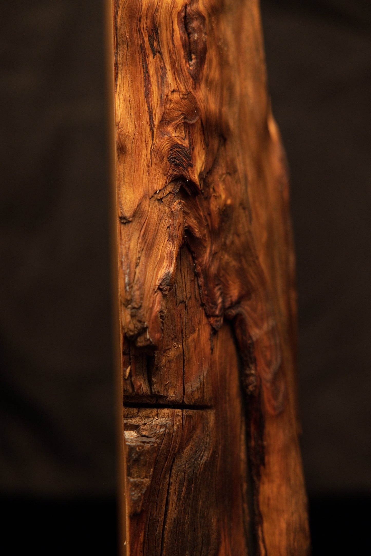 Extreme macro of a deep horizontal crevice splitting the vertical grain on a highly textured commercial timber piece. 