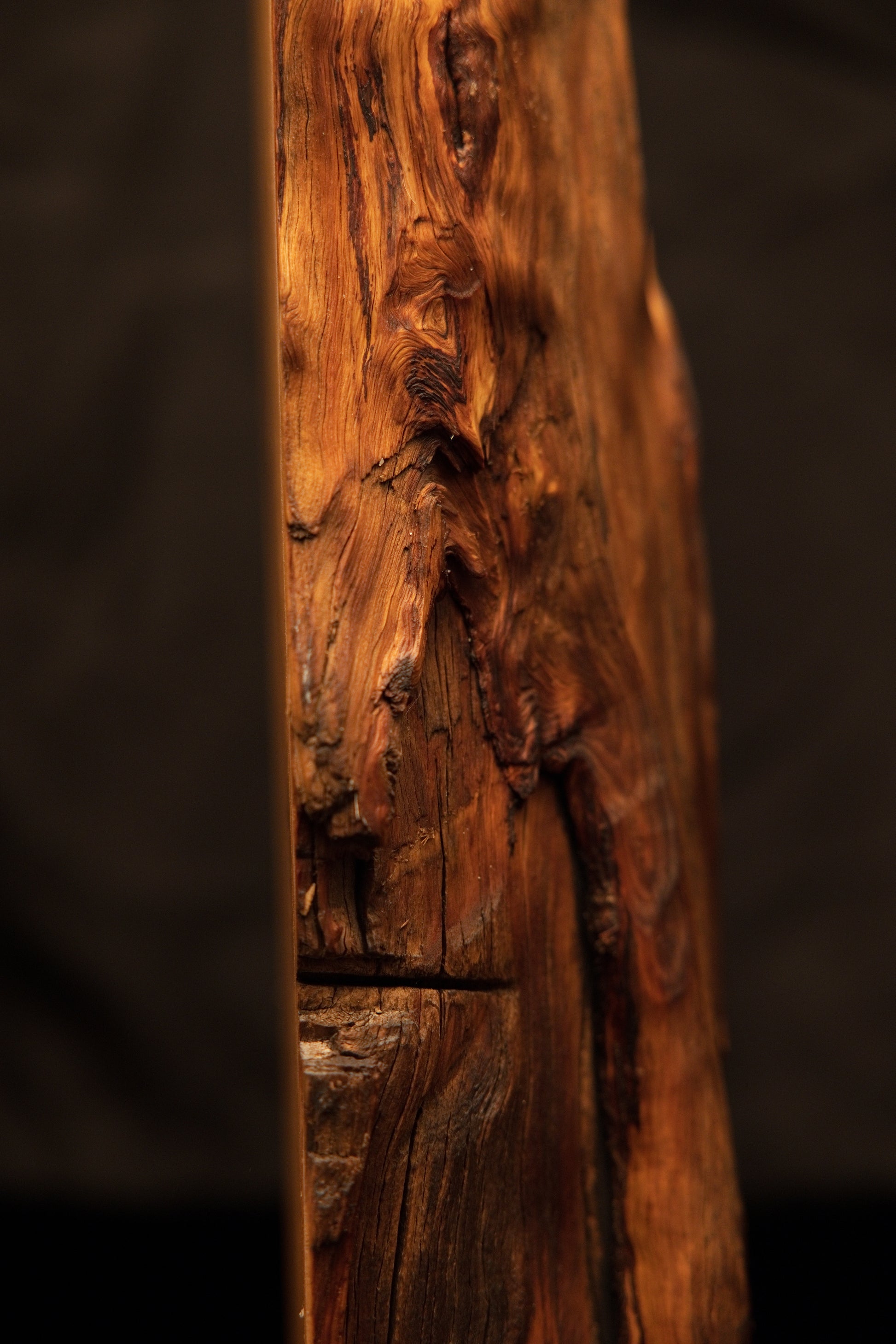 Extreme macro of a deep horizontal crevice splitting the vertical grain on a highly textured commercial timber piece. 