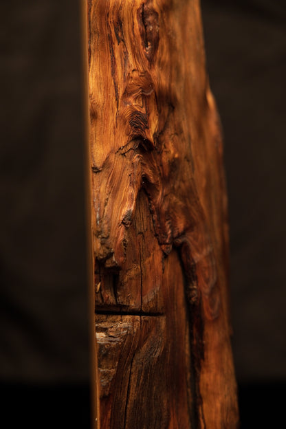 Extreme macro of a deep horizontal crevice splitting the vertical grain on a highly textured commercial timber piece. 