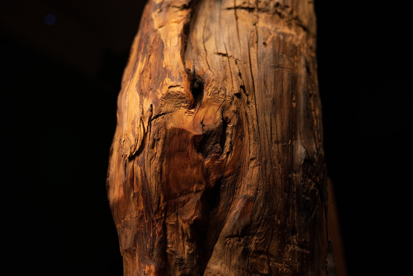 Close perspective of a deep recessed hollow casting dark shadows against smooth sweeping golden grain on the timber. 