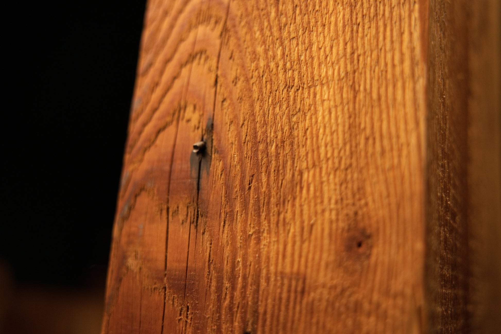 Extreme macro of a dark historic nail void embedded in the deeply ridged vertical grain of a climate-stable architectural beam. 
