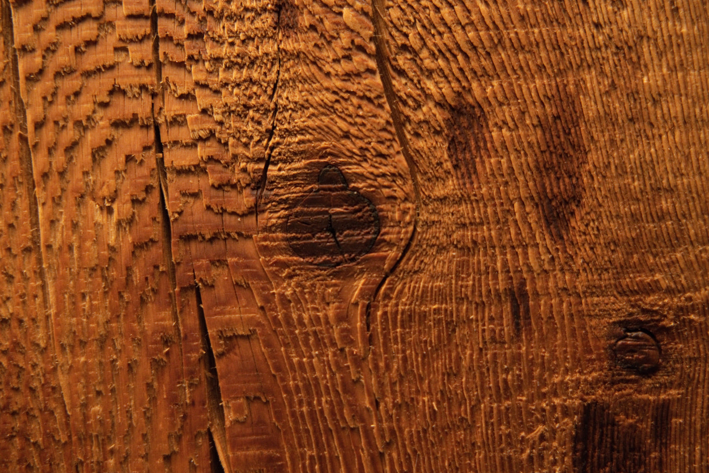 Extreme close-up of tight vertical golden grain intersecting a dark historic joinery void on an epoxy-free architectural slab. 