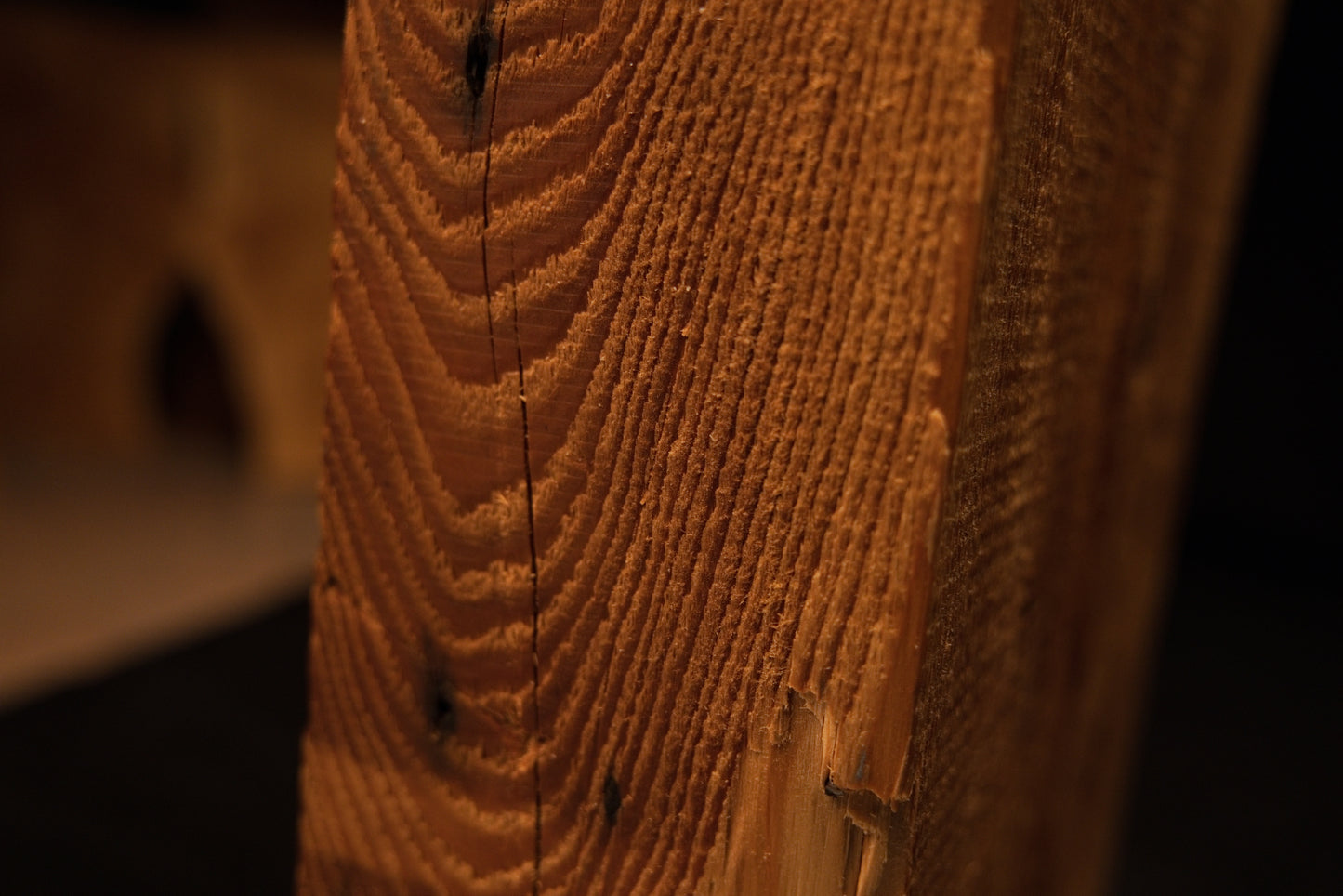 Macro photography of sweeping vertical grain lines curving dynamically around a tiny dark knot on a biophilic structural timber. 
