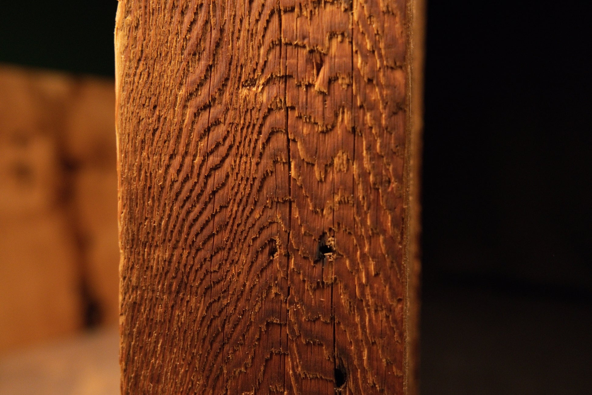 Close-up highlighting authentic rough botanical surface textures and a small dark void on a climate-stable architectural wood. 