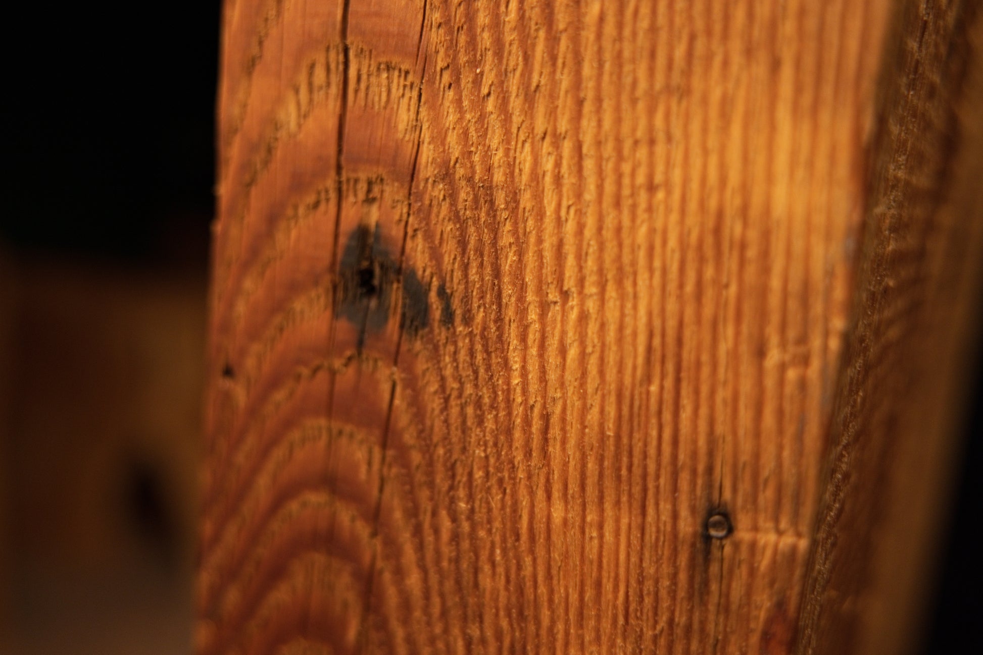 Extreme macro of a dark circular biological mark embedded within the rich golden vertical grain of an epoxy-free wooden piece. 