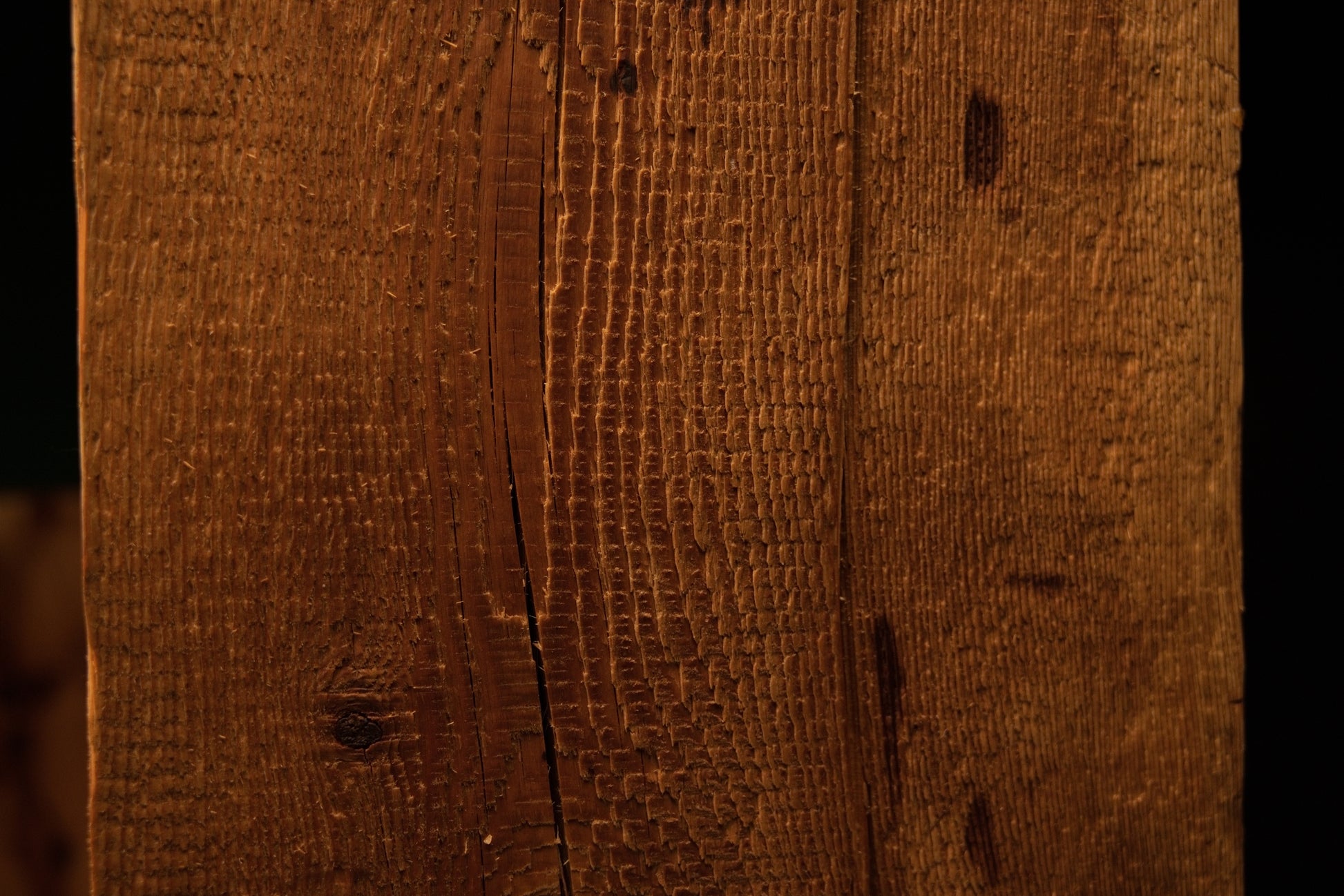 Detailed view of deep organic grooves and highly textured vertical grain lines displayed on a museum-quality biophilic element. 