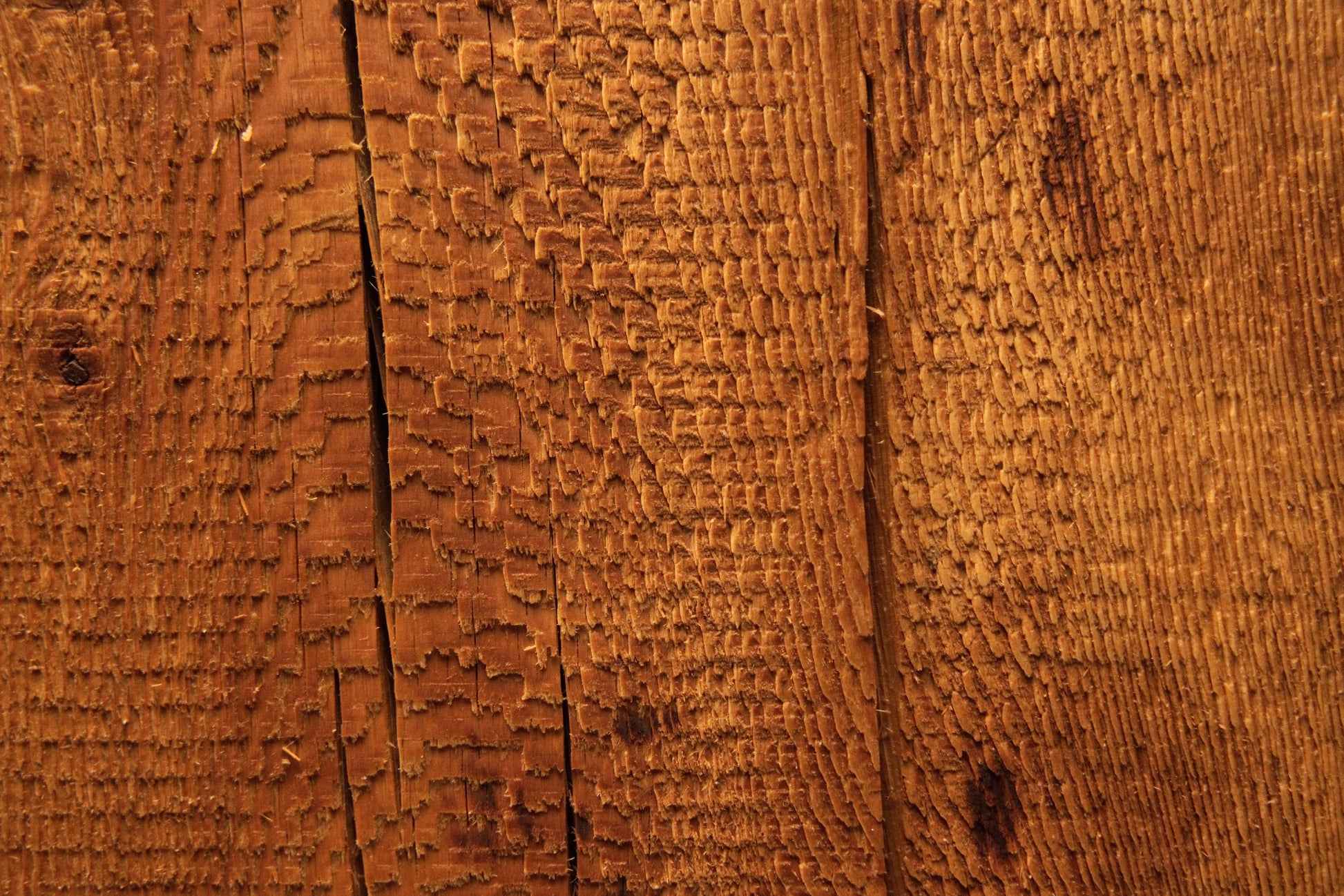 Extreme close-up of rough botanical textures and a stabilized vertical crack traversing a climate-proof structural interior block. 