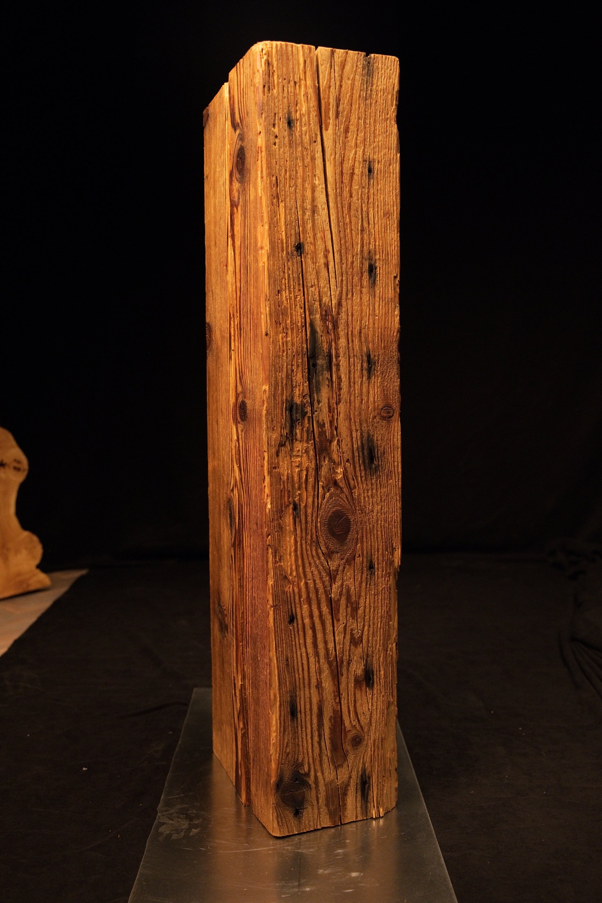 Angled full profile of a completely stabilized interior timber element displaying rich golden hues and distinct dark knots. 