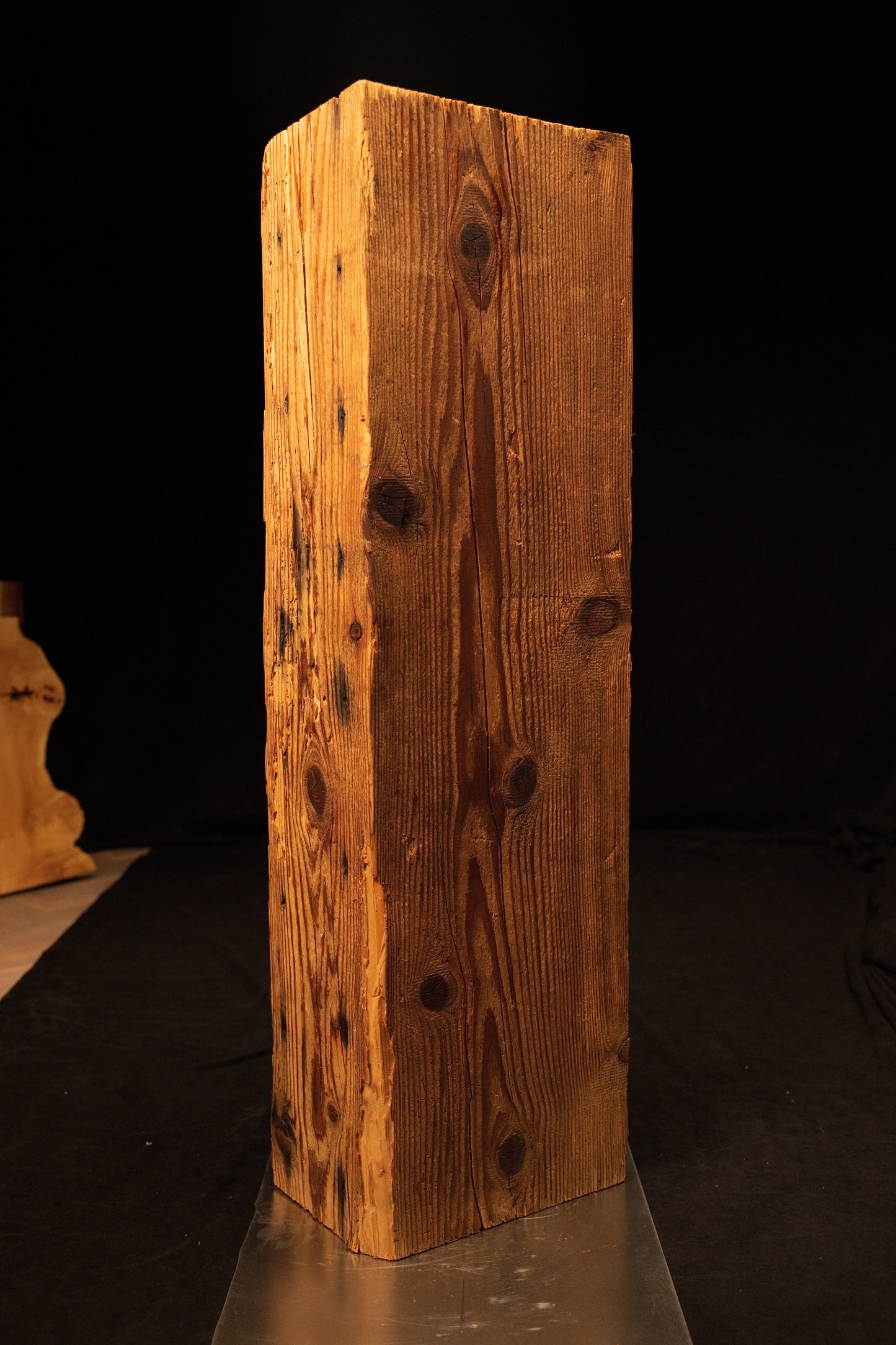Full vertical profile of a museum-quality biophilic structural centerpiece showing dense wood fibers and small dark knots. 