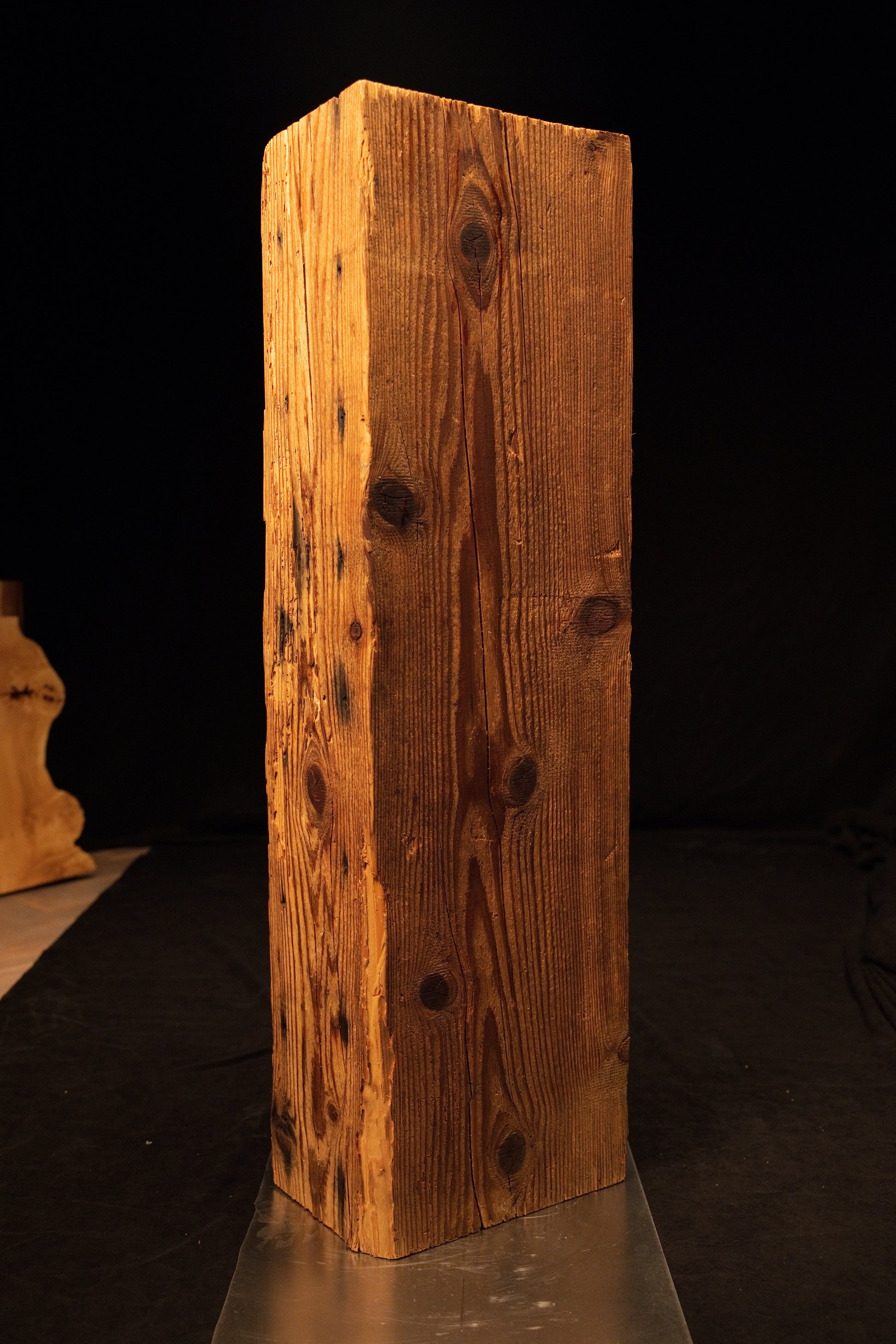 Full vertical profile of a museum-quality biophilic structural centerpiece showing dense wood fibers and small dark knots. 