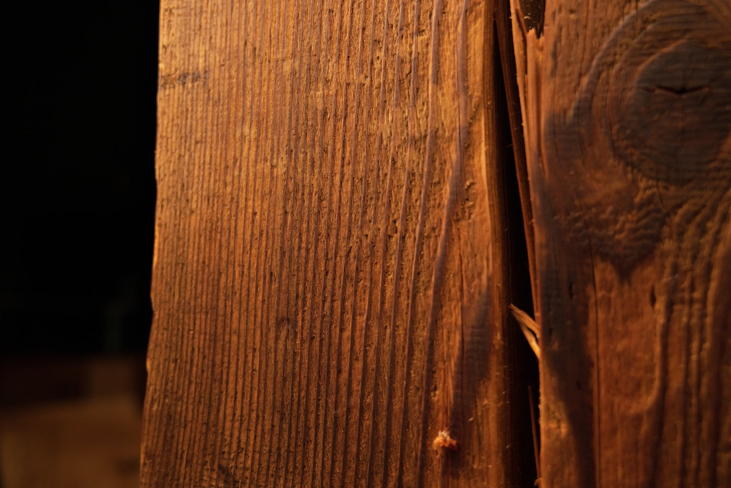 Macro focus on extremely dense vertical wood fibers and a dark biological knot on a floor-heating compatible structural log. 