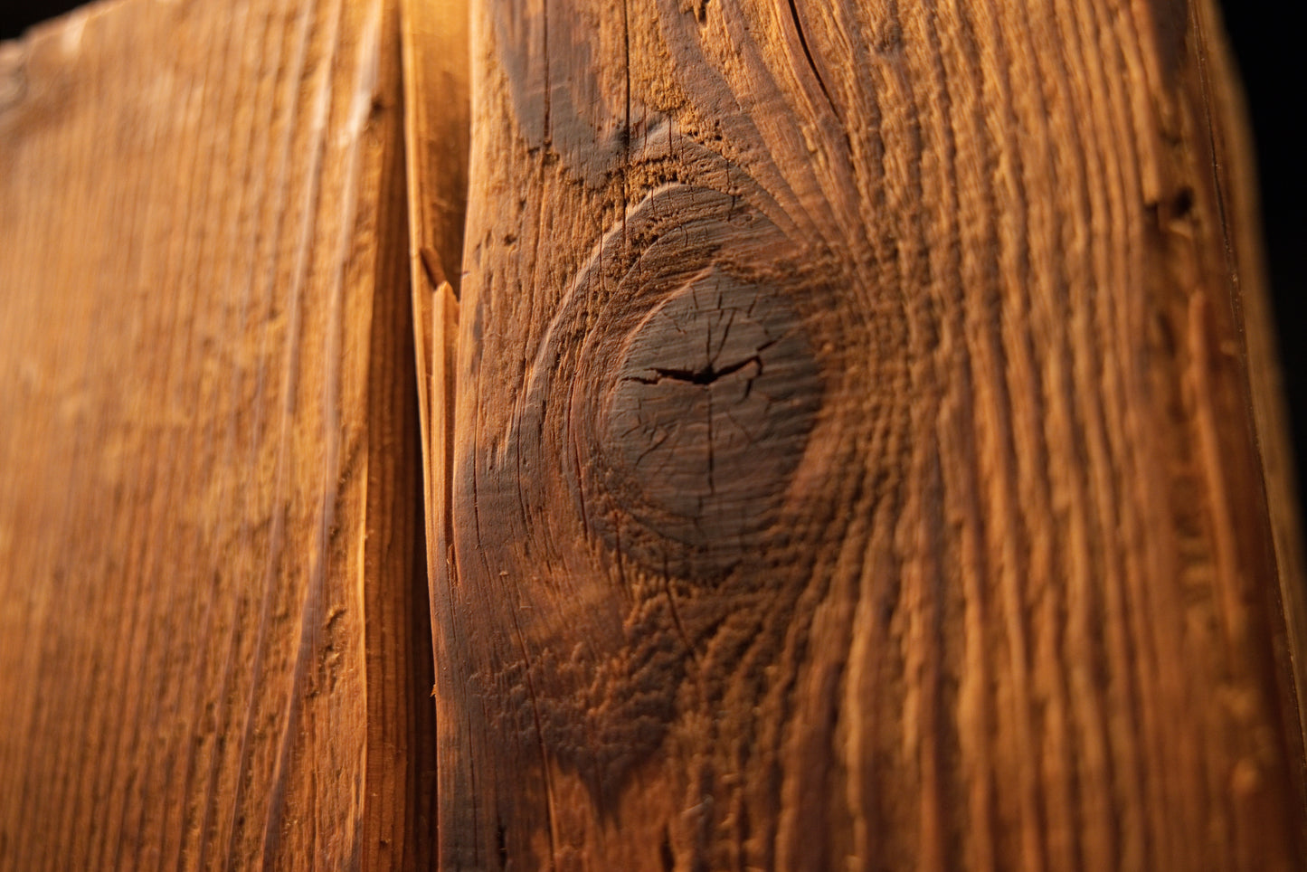 Macro photography of a prominent dark organic knot surrounded by dense vertical grain on a museum-quality biophilic block. 