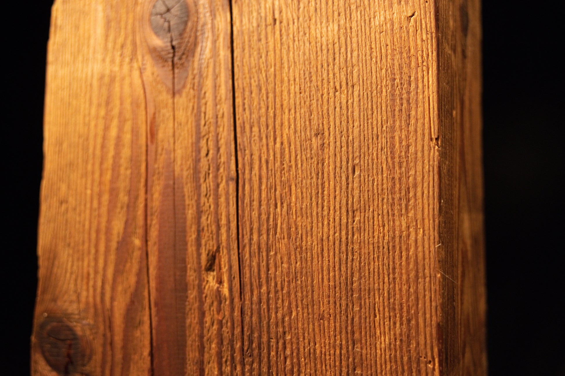 Detailed macro of extremely tight golden vertical fibers showcasing natural chatoyancy on a perfectly preserved wood face. 
