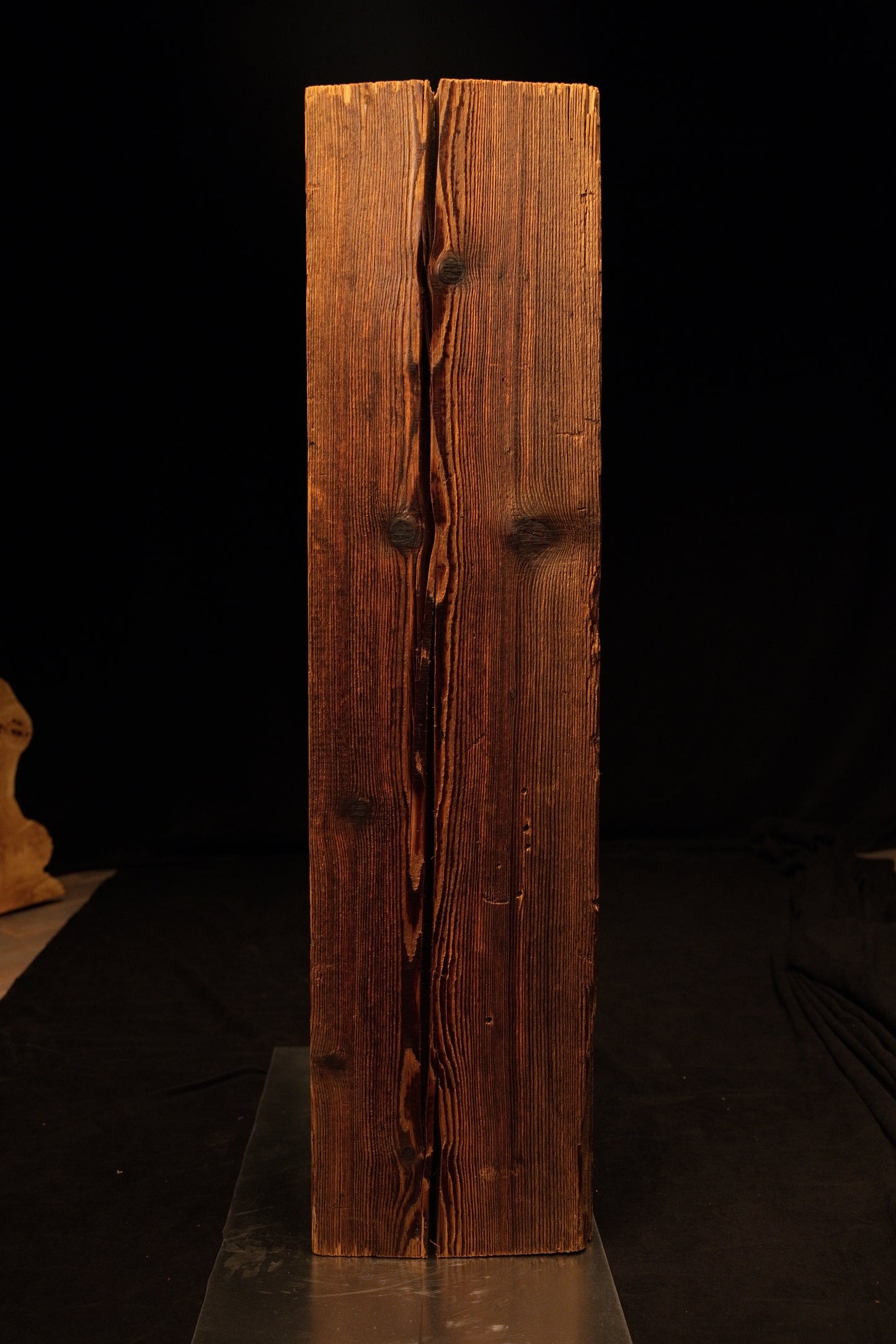 Full profile view of a museum-quality biophilic structural centerpiece showing dense wood fibers and a deep central vertical split.  