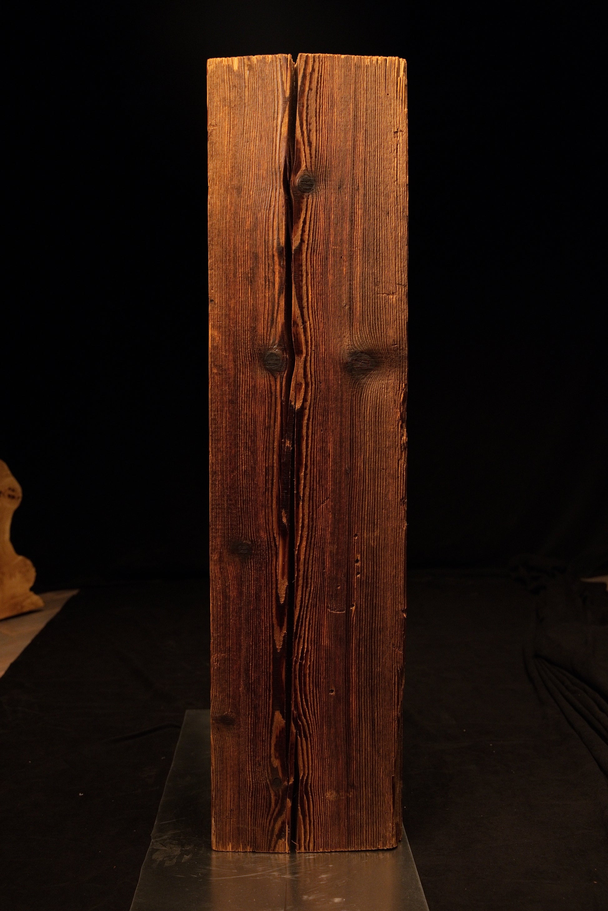 Full profile view of a museum-quality biophilic structural centerpiece showing dense wood fibers and a deep central vertical split.  