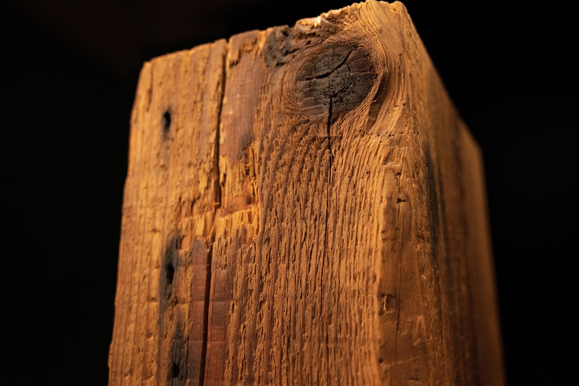 Extreme macro of a dark vertical crack embedded between tight golden grain lines on a fully stabilized architectural beam.  