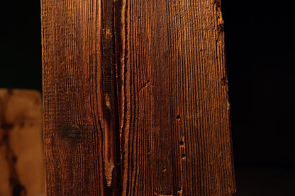 Detailed macro of extremely tight golden vertical fibers showcasing natural chatoyancy on a perfectly preserved wood face.  