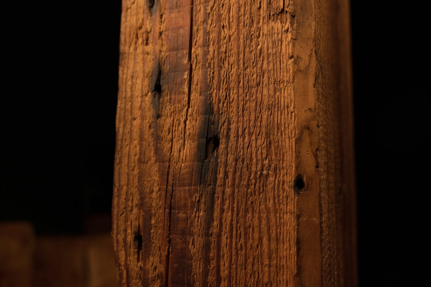 Angled macro showcasing deep historic tool scars and sweeping golden grain lines on a fully stabilized structural wooden element.  