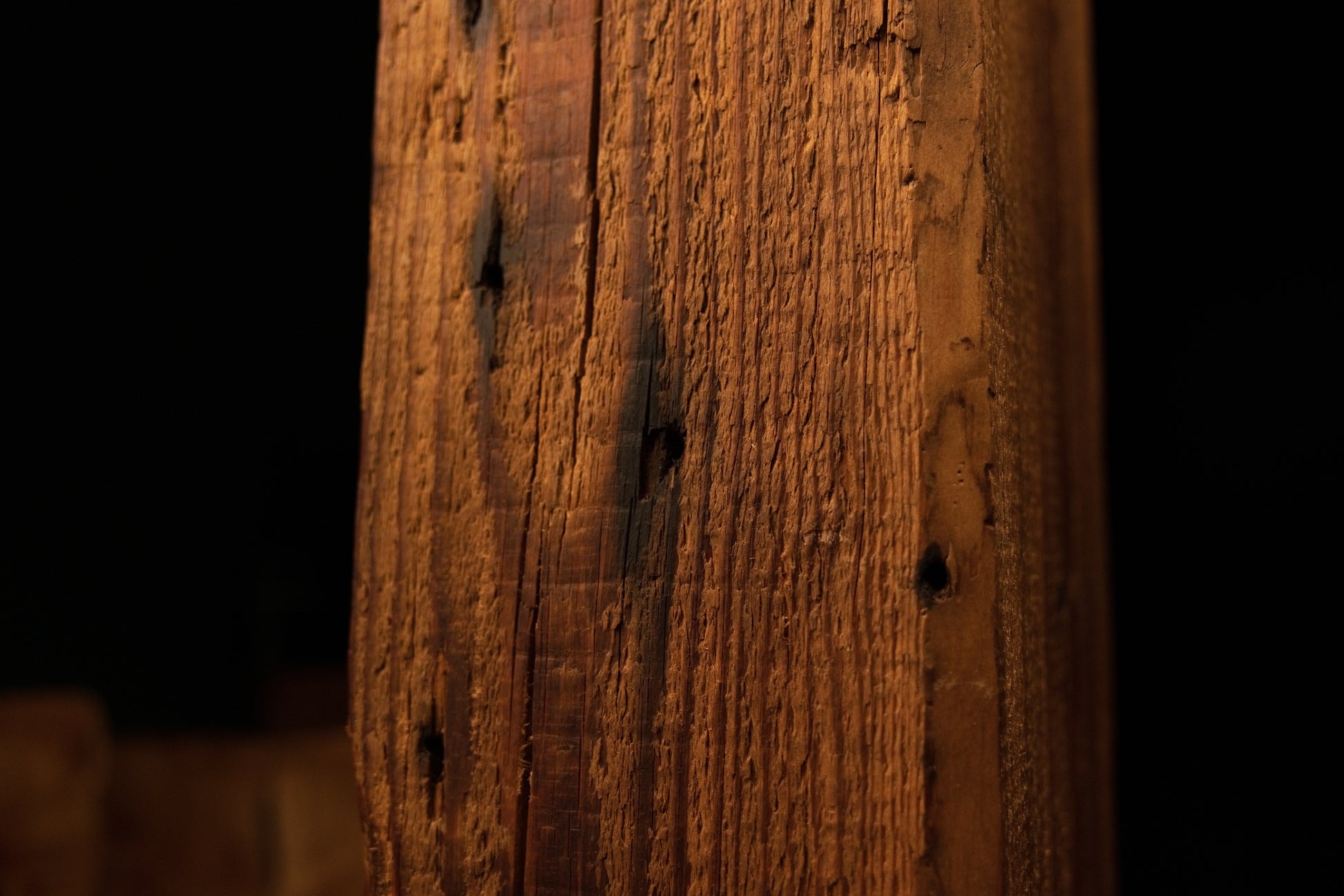 Angled macro showcasing deep historic tool scars and sweeping golden grain lines on a fully stabilized structural wooden element.  