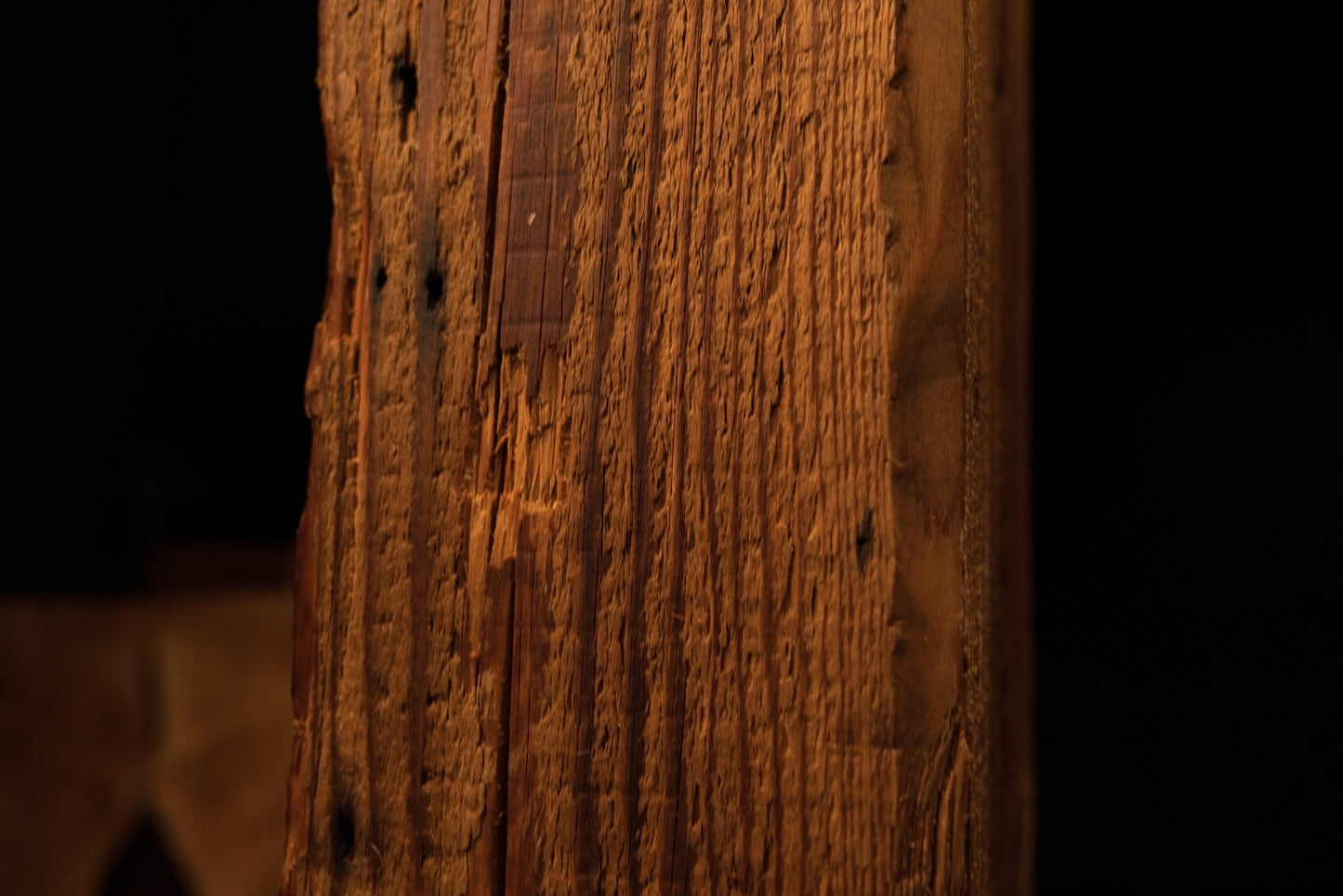 Detailed focus on extremely dense vertical wood fibers and small biological inclusions on a climate-stable architectural log face.  