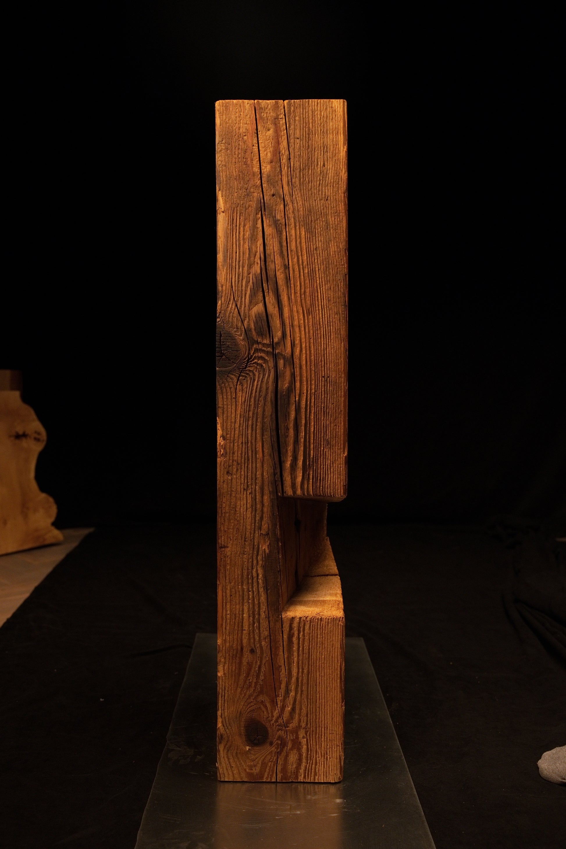 Full vertical profile of a museum-quality biophilic structural centerpiece showing a stepped cutout and dark organic knots. 