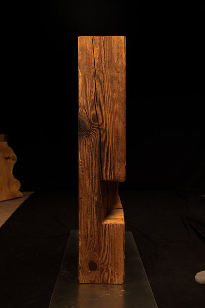 Full vertical profile of a museum-quality biophilic structural centerpiece showing a stepped cutout and dark organic knots. 