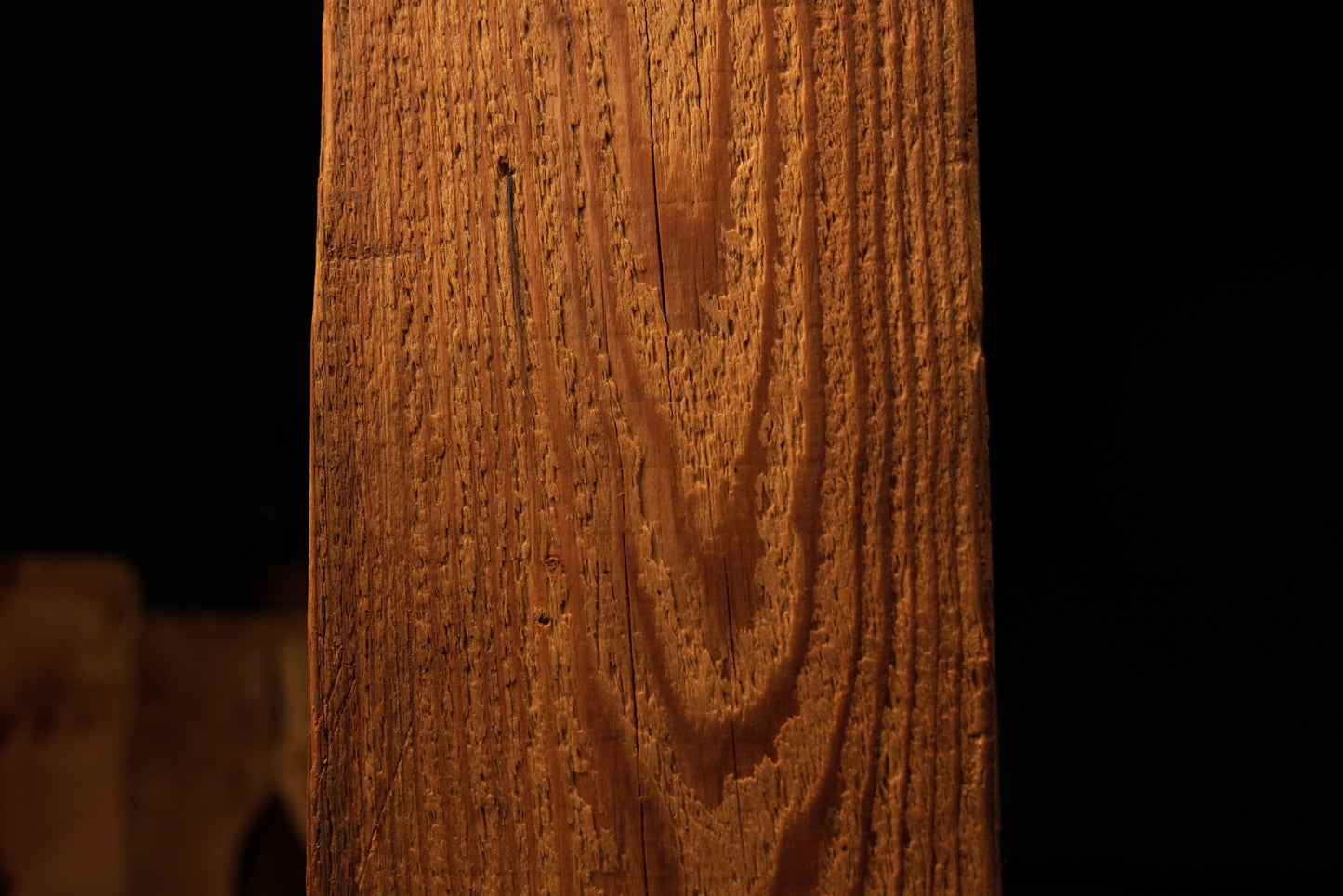 Macro perspective of sweeping vertical grain lines curving into a distinct loop pattern on a museum-quality wood surface. 