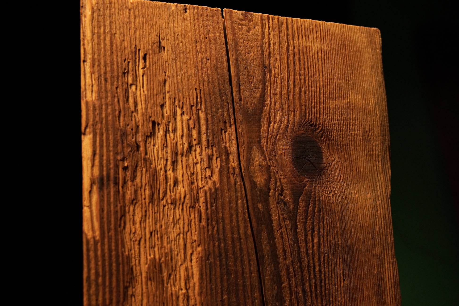 Close perspective highlighting a rough textured patch on the upper left side of a biophilic architectural wooden block. 