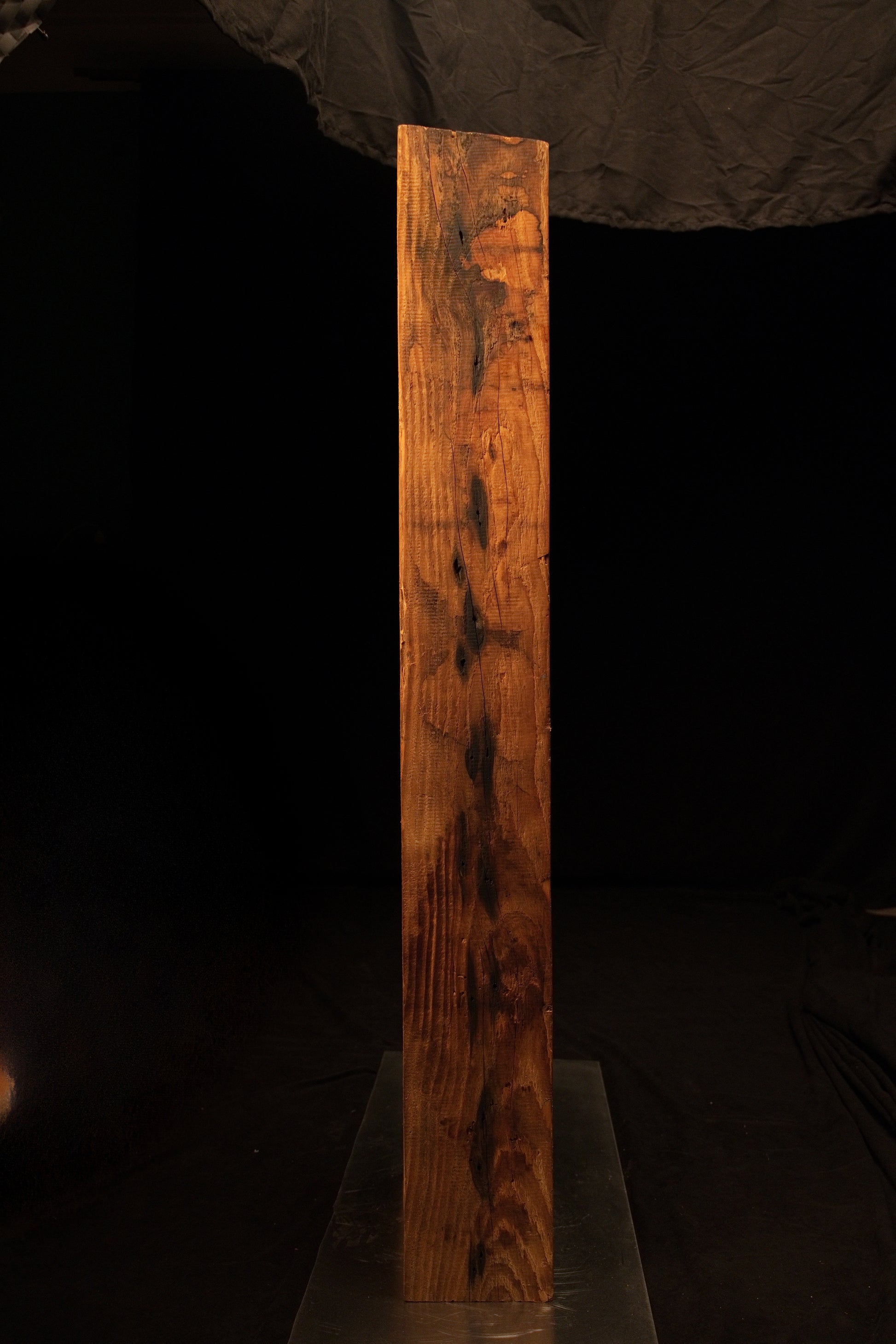 Narrow vertical profile of a fully stabilized structural timber element highlighting deep dark oxidation and weathered textures. 