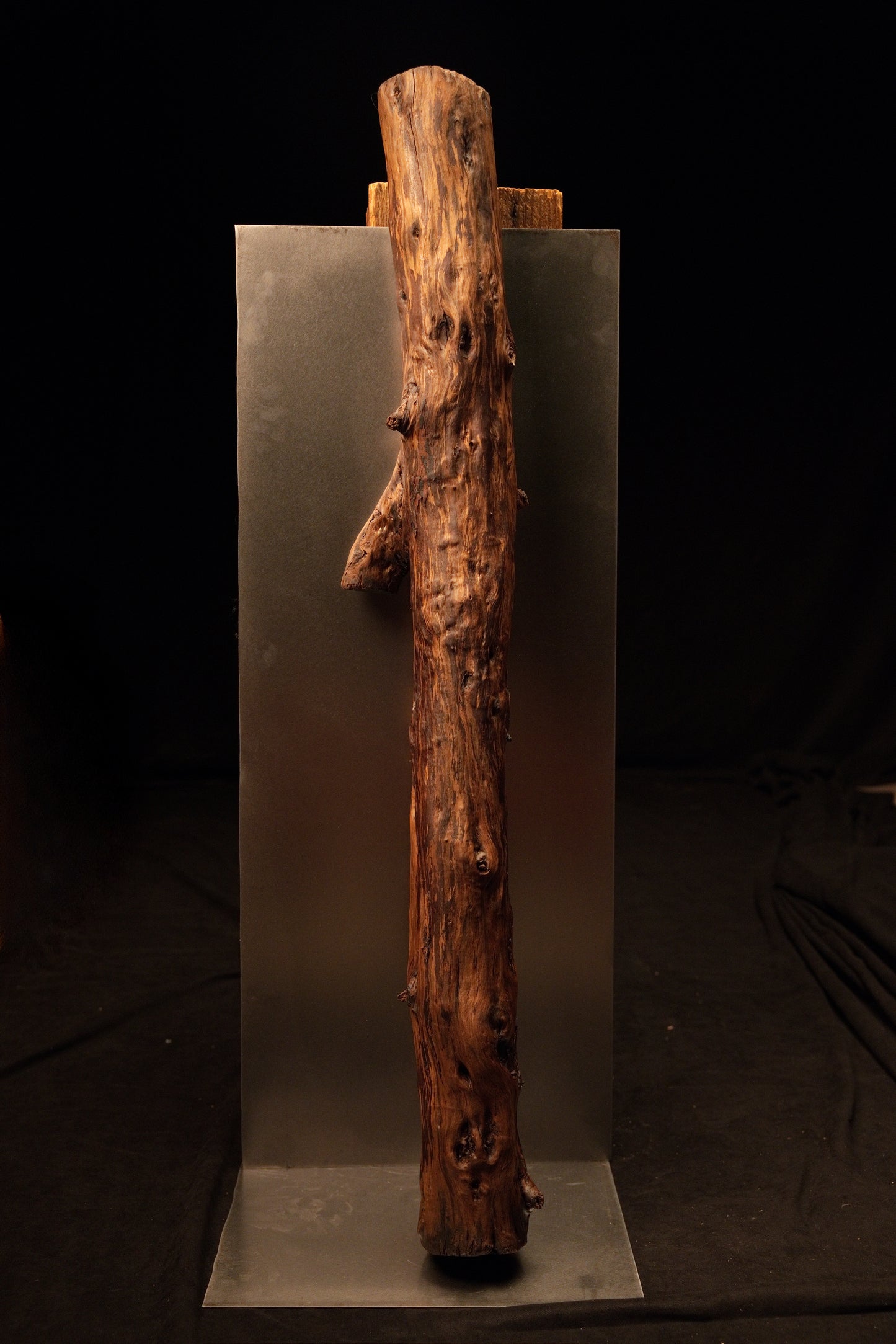 Full view of a natural upright wooden branch mounted against a grey metallic backing plate, showing a left-facing side branch. 