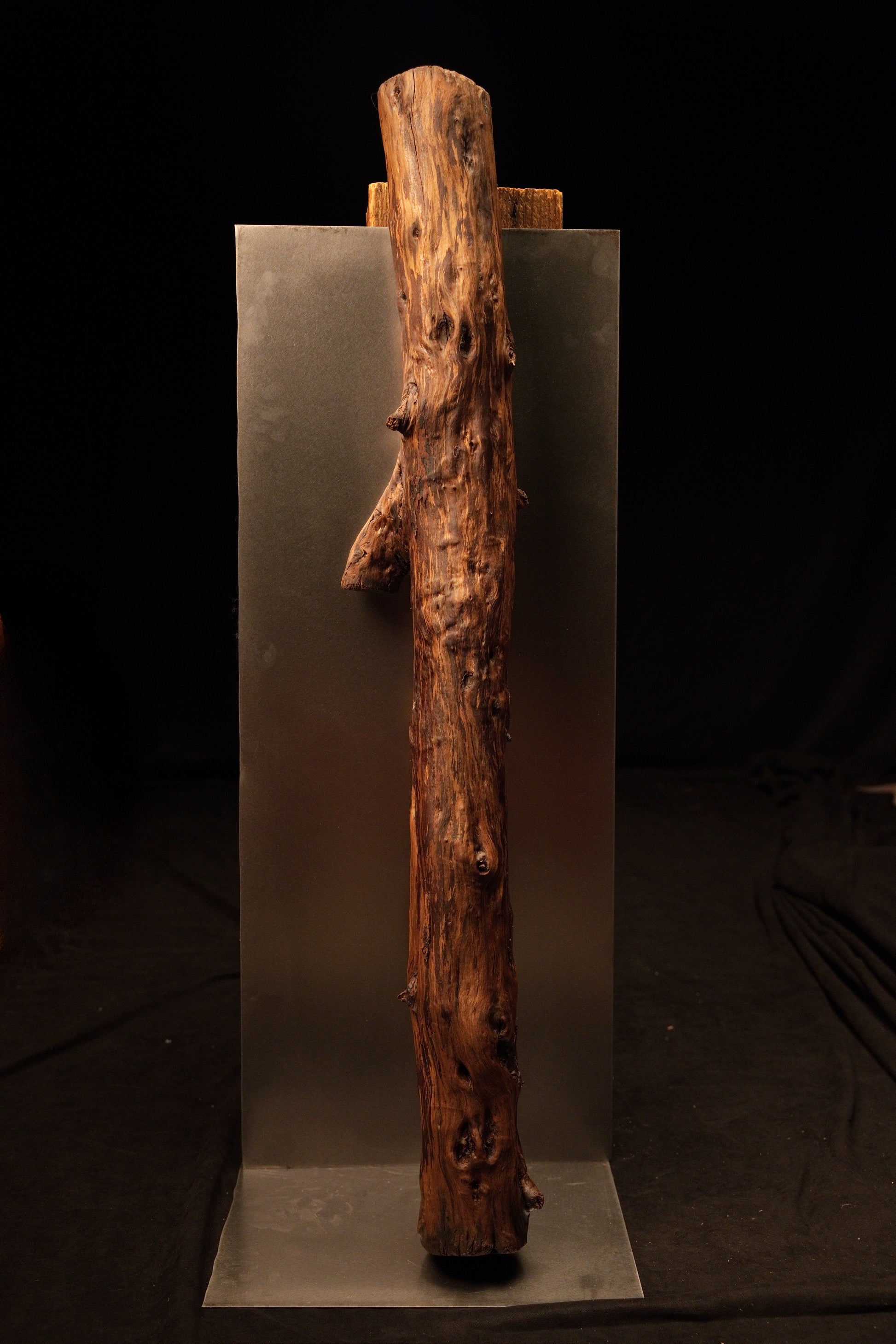Full view of a natural upright wooden branch mounted against a grey metallic backing plate, showing a left-facing side branch. 