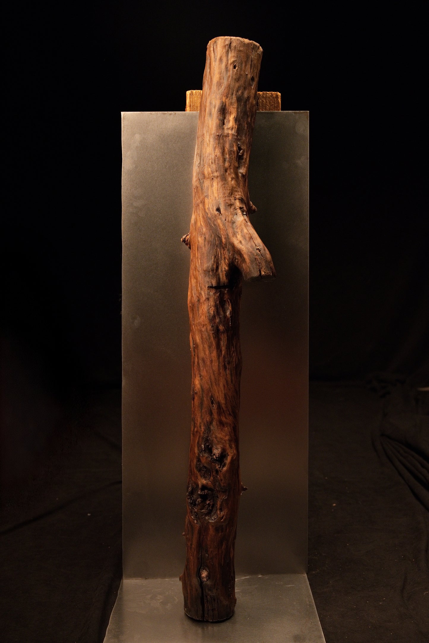 Vertical view of the organic wooden log positioned against a metallic background, featuring a prominent right-facing side branch. 