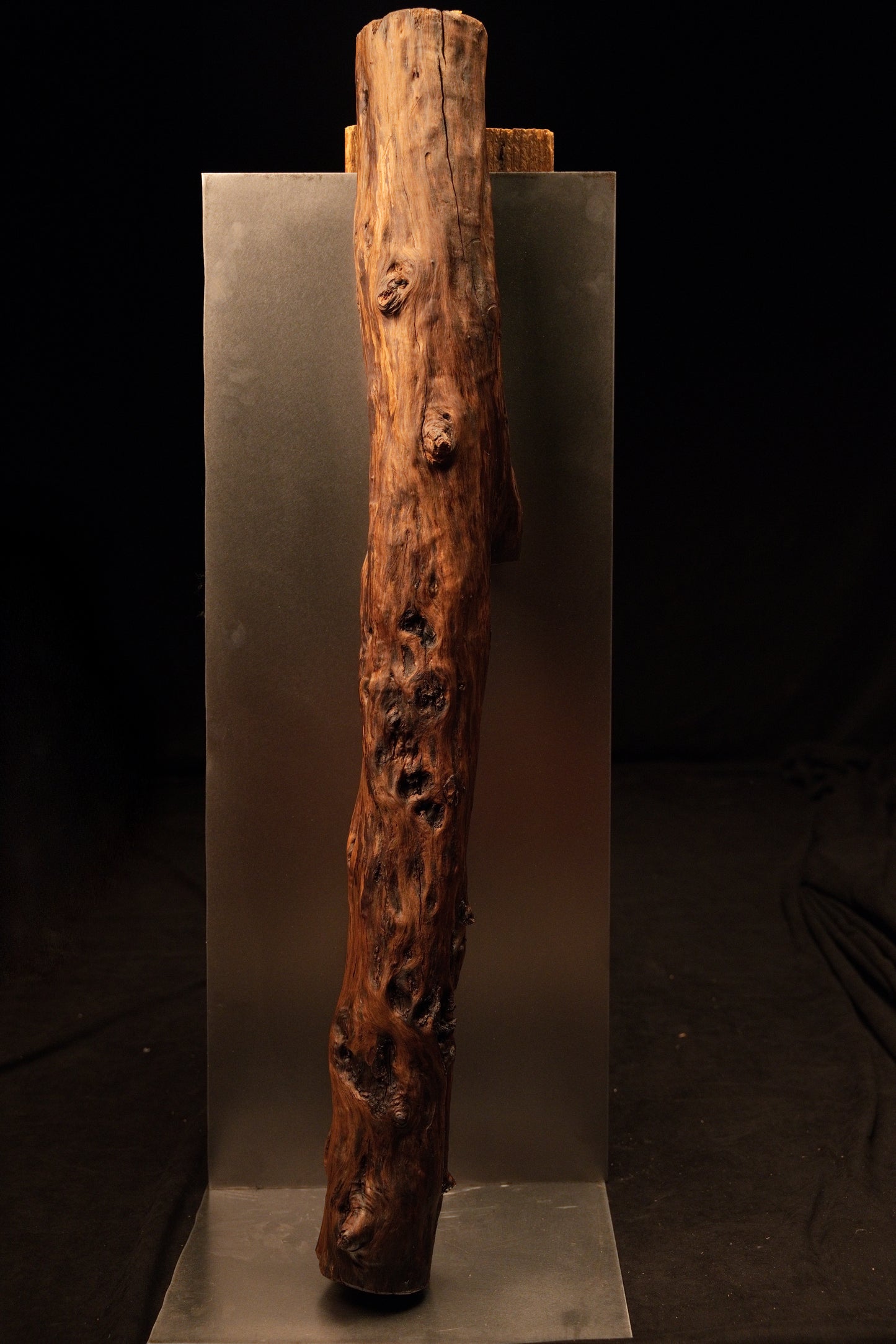 Full vertical profile of the natural upright wooden branch showing rich organic surface variations against a grey metal plate. 