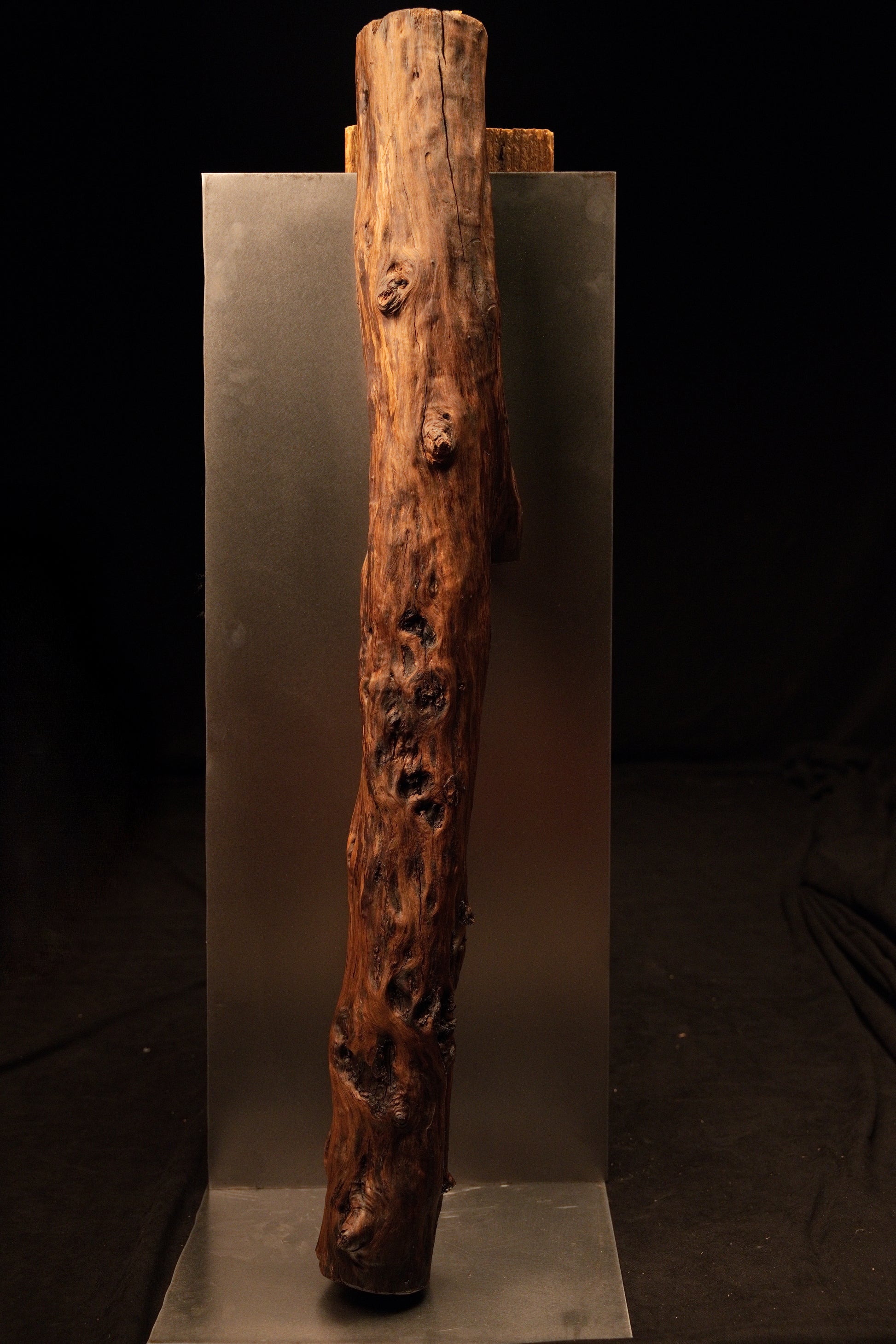 Full vertical profile of the natural upright wooden branch showing rich organic surface variations against a grey metal plate. 