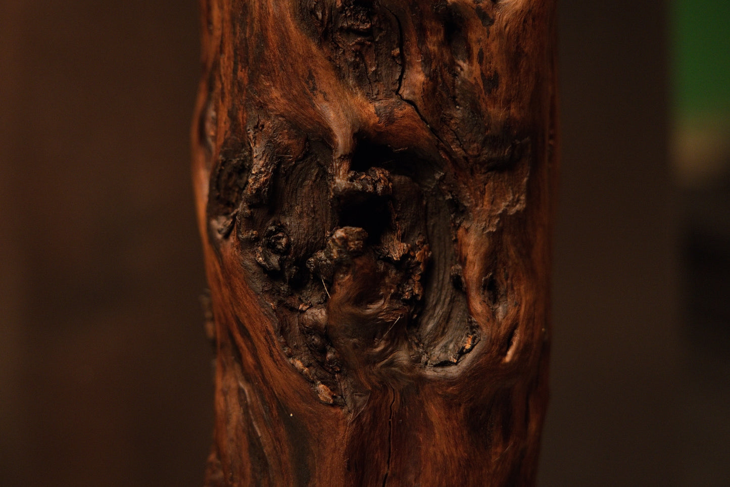Detailed macro view focusing on a complex dark swirling knot cavity located midway down the vertical wooden branch trunk. 